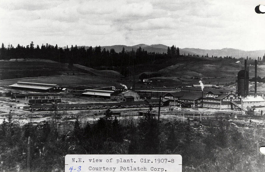 A photograph of the plant looking northeast.