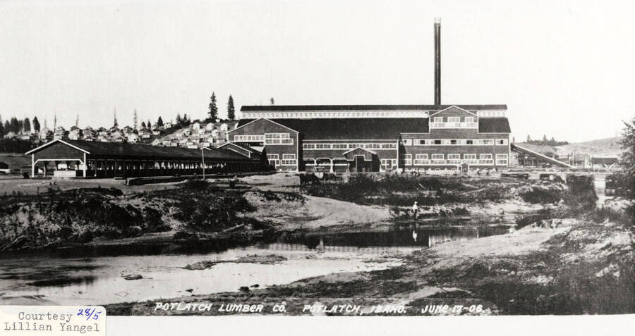 A photograph of the Potlatch Sawmill courtesy of Lillian Yangel.