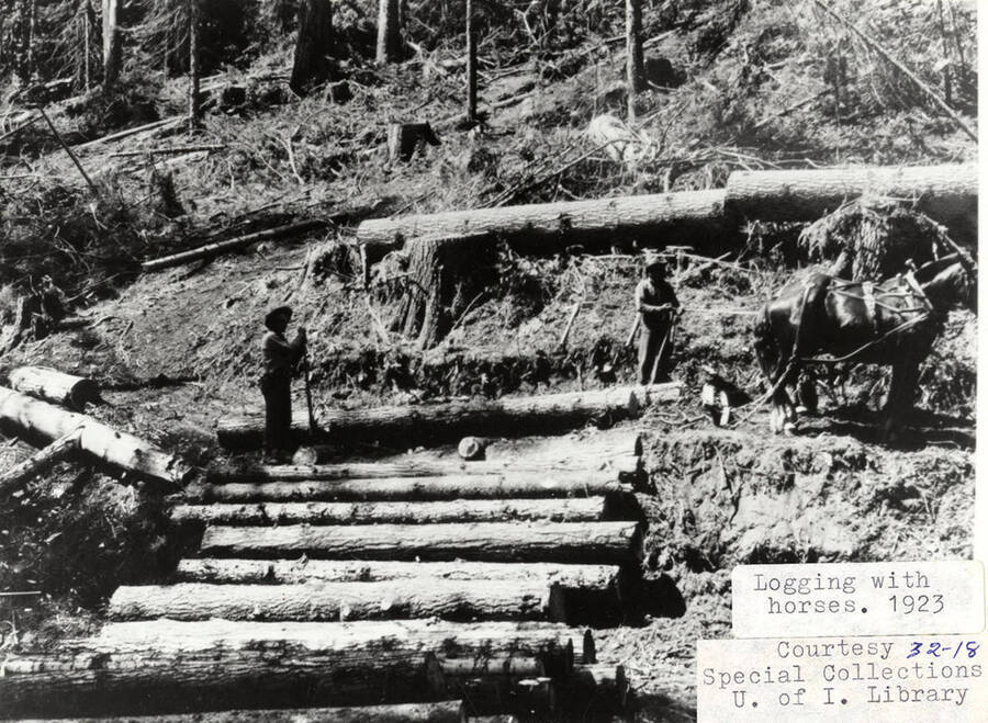 Two men logging while horses stand next to a stack of logs.
