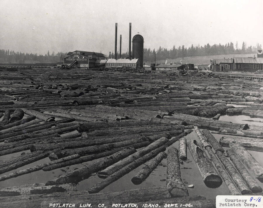 A photograph of the log pond at the Potlatch Lumber Company in Potlatch, Idaho.