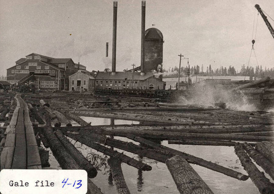 A photograph of dumping logs into the pond by a steam powered crane on a parallel track. This print also shows the wall panels open on the sawmill south wall between the top end of the 'bull chain' and No. 1 rig, to the right. This was done whenever long timbers above 24 feet were cut, with maximum lengths around 40'.