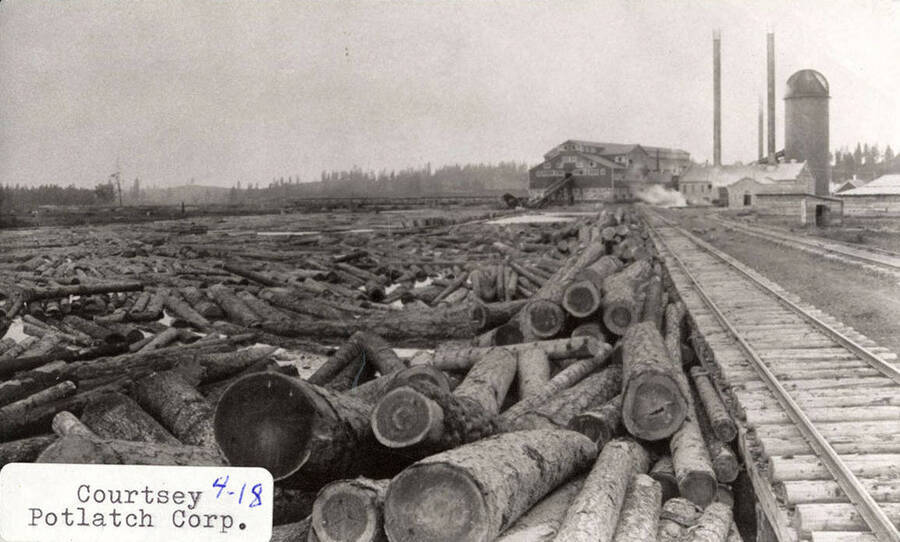 A photograph of the pond full of logs less than two weeks prior to mill start-up time, Sept. 11. The print is a good view of the railroad siding where logs are dumped inot the pond from flat-cars. The center print actually show