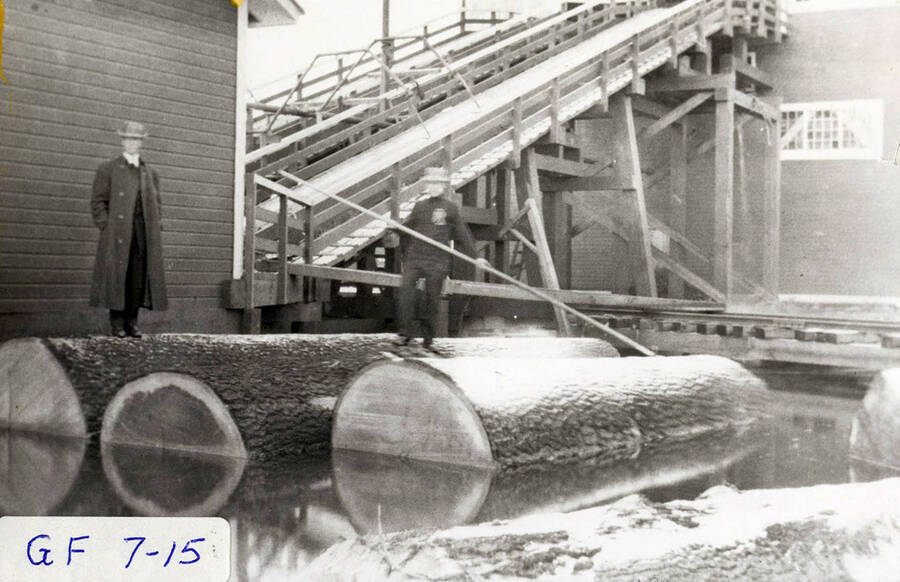 A photograph of two employees standing on logs in the log pond.