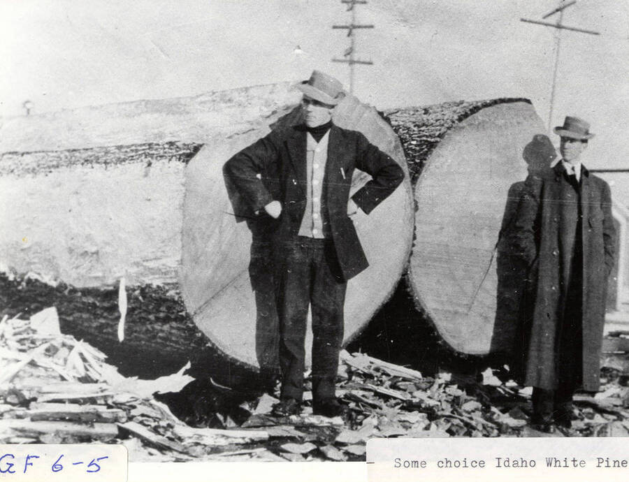 A photograph of two employees standing next to large logs of Idaho White Pine.