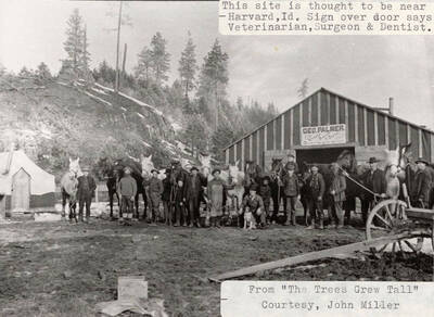 A group of people and horses standing in front of a building that has a sign over its door saying 'Veterinarian, Surgeon, and Dentist'.