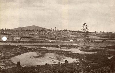 A view of Potlatch.