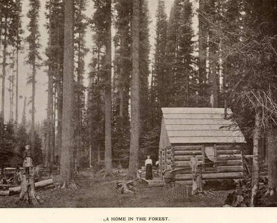 A photograph of a home in the forest with some of its residents.