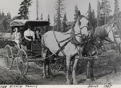 A photograph of the Kislig family in a carriage drawn by two horses. Mrs. Kislig is driving the carriage. Leta, Art and Edith Kislig are passengers