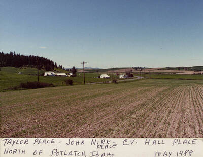 The Taylor Place, the John Nirk Place, and the C. V. Hall Place north of Potlatch, Idaho. Taken in May, 1988.