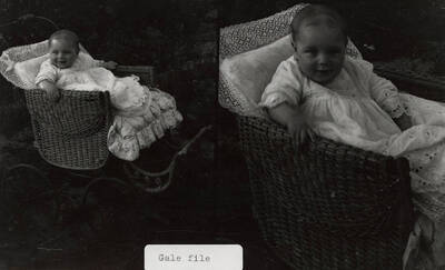 A photograph of an unknown baby in a stroller.