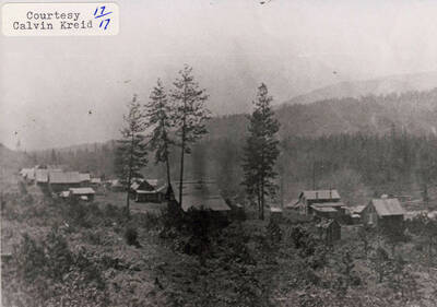 A photograph of homes in a forest.