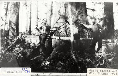 Grant (left) and Glen Thomas standing at the base of a tree holding axes.