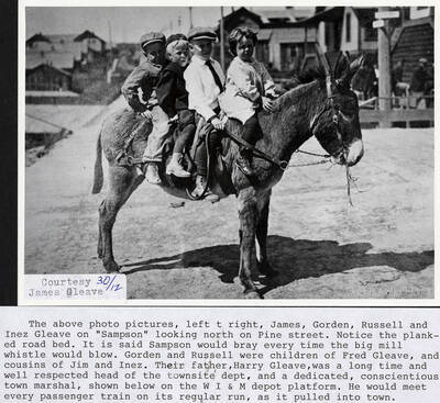 A photograph of James, Gorden, Russell, and Inez Gleave on Sampson the donkey that would bray every time the mill whistle would blow. It is looking north on Pine Street with a planked road bed. The description goes into the children's relationships with other Gleave's in Potlatch.