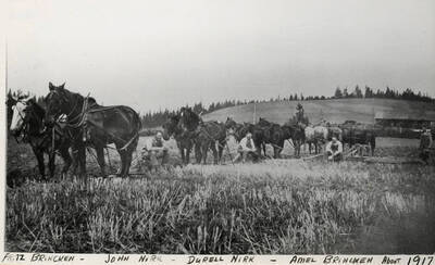 Fritz Brincken, John Nirk, Durell Nirk, Amel Brincken and several teams of draft animals. Photograph taken about 1917.