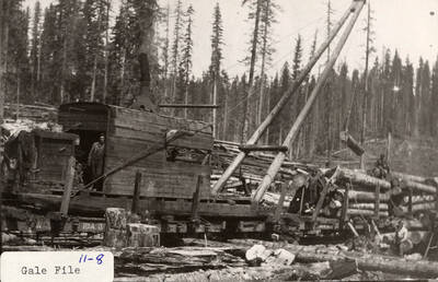The jammer at work stacking logs on the flat cars. A few men can be seen standing on the jammer or around the stacks of logs.