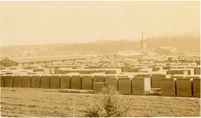 Postcard depicting a long shot of drying lumber piles at the Potlatch Sawmill.
