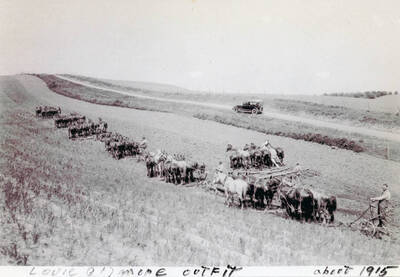Several multi-horse teams tilling. Louie Gilmore's outfit. Bill Leistner and Jim Woods in crew.
