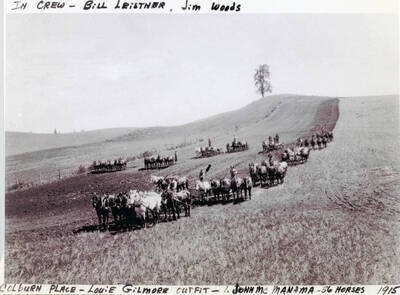Several multi-horse teams tilling. Louie Gilmore's outfit on the Colburn place. With John McManama. 56 horses.