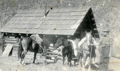 Swatman packed up in HooDoos and elsewhere; Buck and Ribbon are horses