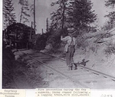 A man working at a lumber camp doing fire prevention during the dry summers. The man can be seen carrying a pick and shovel and walking behind a logging train, which is carrying stacks of logs.