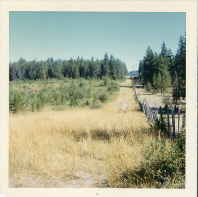 A fence line divides a field in the distance.