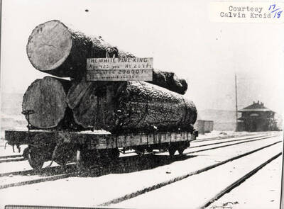 The largest known White Pine tree on a railroad car. The tree has a sign on it that says that it was scaled at 29,800 feet.