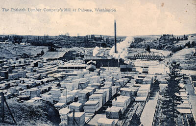 The Potlatch Lumber Company's Mill at Palouse, Washington.