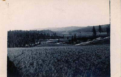 Chambers Flat with Hoodoo Mountains in distance.