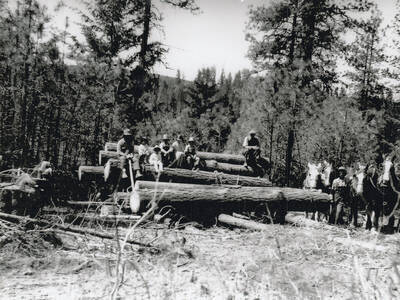 Photograph of an unidentified group of people that includes children and men sitting on a stack of large logs. Another man stands at the right with a team of horses.