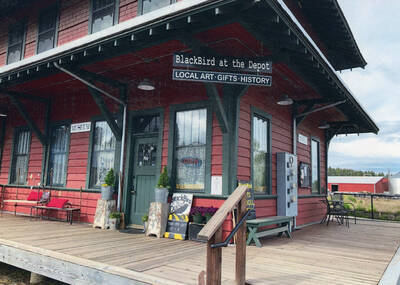 Photograph of Blackbird at the Depot.