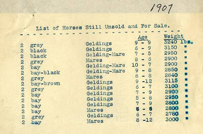 Document listing the horses that were still unsold and were for sale. It provides information about color, age and weight of the horses.