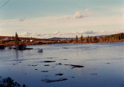 Photograph of flood at Riverside on the Palouse River.