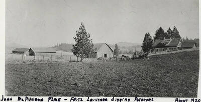 The John McManama Place - Fritz Leistner digging potatoes. Photograph taken about 1920.