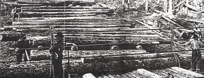 View of the cable system used for logging. Men can be seen standing between the logs that are stacked on the ground of the forest.