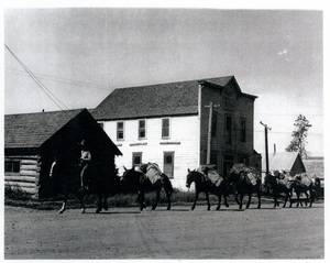 Photograph of a U.S. Forest Service pack train making its way up Main Street in Princeton.