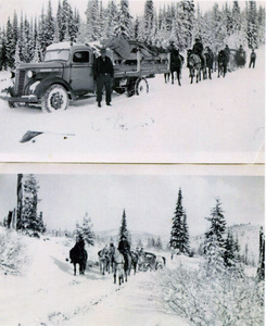 Photograph of Fats Espy with his pack train in winter.