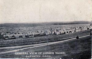 Postcard of the Potlatch Mill Yard.