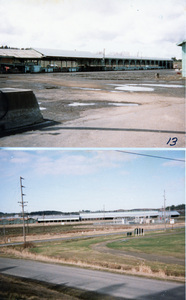Photograph of the green chain at the Potlatch Mill.