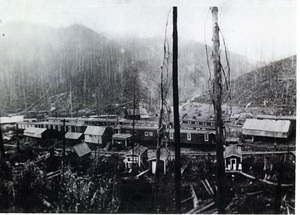 Photograph of Camp D with railcar housing.