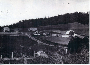 Photograph of the Seventh Day Adventist community near Viola.
