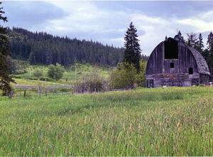 Photograph of the Slagle Brn.