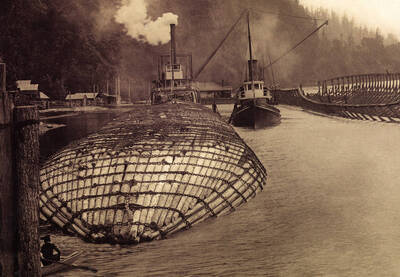 A steamboat pulling a group of logs wrapped in chains in. Men can be seen in a boat in front of the logs and one man can be seen standing on top of the logs.