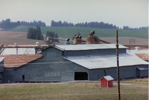 Photograph looking Southwest at box shed & cyclones atop Planer.