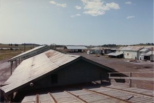 Photograph Looking West at green chain from top of incline.