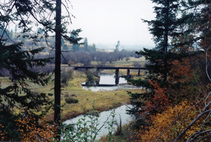 Photograph of the trestle over the Palouse River east of Harvard, where the line begins its 1.6% climb up Flat Creek to Yale.
