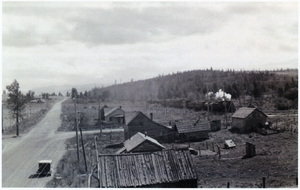 Photograph of the WI&M log train coming through Princeton.