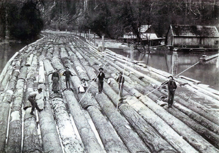 Photograph of men with pike poles on logs during a log drive.