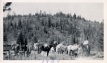 Men on horseback in the mountain going hunting.