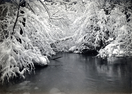 Postcard of a winter scene.