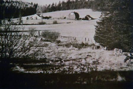 Photograph of Ed Soncarty place.